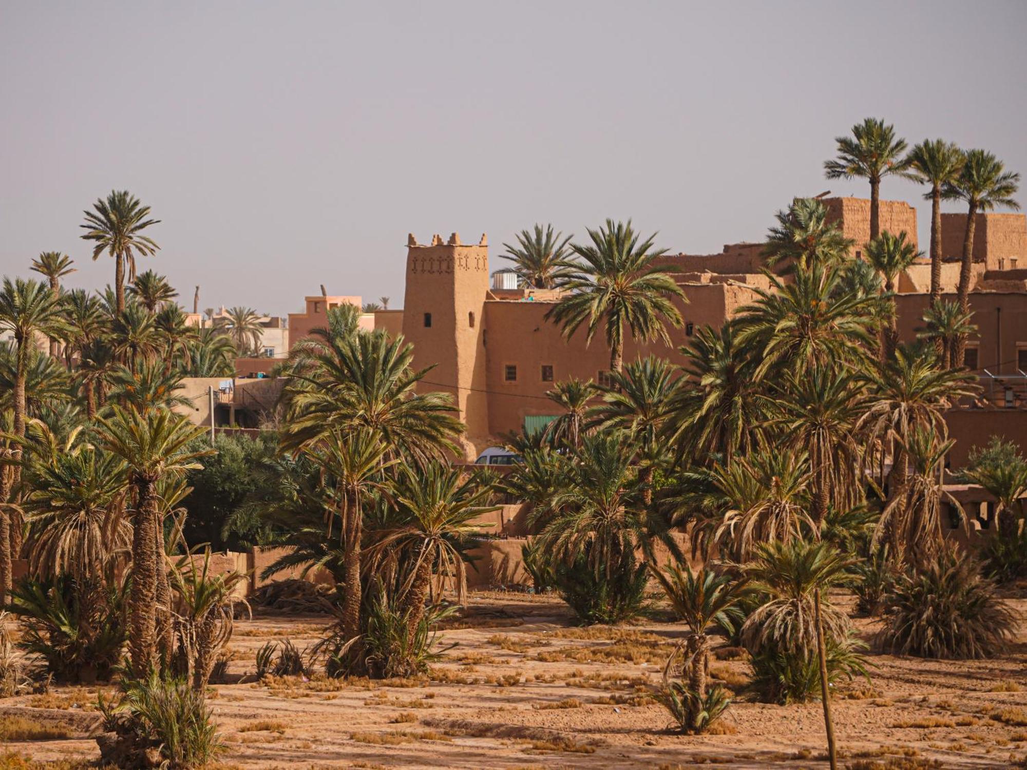 Hotel La Kasbah Elkhorbat Muxu Berbere à Asrir  Extérieur photo